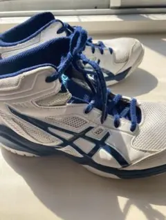 Item thumbnail for item a4103d75-465c-4271-9bf3-ab5e13dd4e66