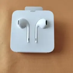 Apple EarPods with Lightning Connector
