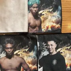 Item thumbnail for item 4312ba7a-742c-4d00-ad5c-6d9e3ee0e599