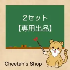 2セット 専用出品