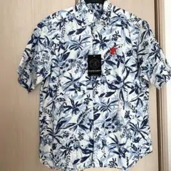 Item thumbnail for item 854a2051-cc56-4ceb-8d84-29a384d63a2f