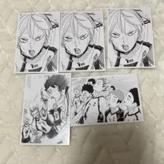 バレーボールキャラクターカード 5枚セット