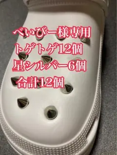 べいびー様専用 クロックスパンク系スタッズ/ジビッツ /シルバー【18個セット】