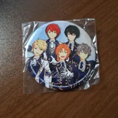 あんスタ スタライ 円盤特典 Knights 缶バッジ