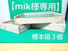 2026年最新】標本箱(標本ケース)の人気アイテム - メルカリ