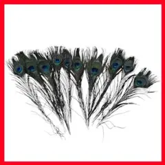 Item thumbnail for item b689d14b-1797-4976-87fe-a28e4ab3f340