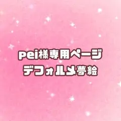 ◼️ peiプロフ必読様専用ページ◼️