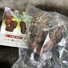 【Red】やむちん家 新垣優人 シーサーミニチュアフィギュア