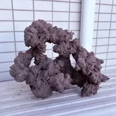 2026年最新】人工 ライブロックの人気アイテム - メルカリ