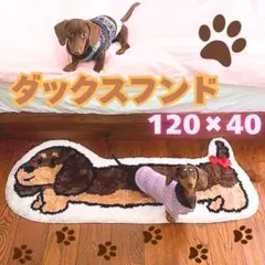【新品未使用】ラグ マット ミニチュアダックス 犬 ダックス