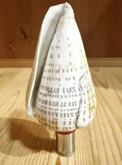 Item thumbnail for item 2966bd8c-1379-4a6f-9242-fd0b982c0869