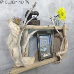 Item thumbnail for item 61f0fc31-02c3-486d-8cfc-ee966f9f72b3