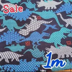夏生地セール　KOKKA　1m　和柄　モダン　ドビー　生地　恐竜　ダイナソー　紺