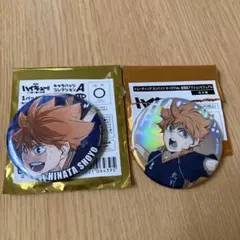 日向翔陽 缶バッジ