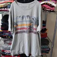 90sベトナム製ヴィンテージXLキレイな自然ロゴtシャツUSA直輸入メンズ古着