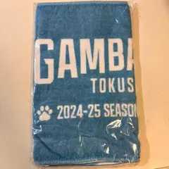 徳島ガンバロウズ 2024-25 ファンクラブ会員特典タオル