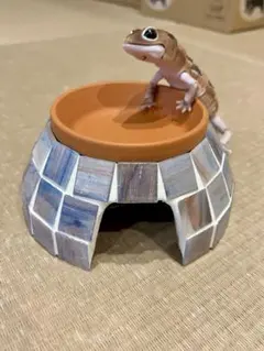 Item thumbnail for item 5fba2c7c-a462-4da1-b92d-b454ad6932f6