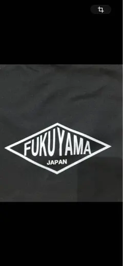 Item thumbnail for item 55c6c75f-4be5-4380-96fc-c2e1506c49a9