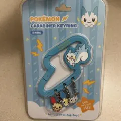 海外ポケモンセンター ヌメラ マンスリーピン ピンバッジ サプライ