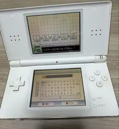 【動作確認済】ニンテンドーDS Lite 本体＋おまけ付きセット