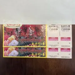 なばなの里・ベゴニアガーデンご招待券２枚のサムネイル