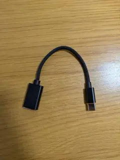 USB Type-C USB-A 変換ケーブル アダプター ブラック 動作未確認