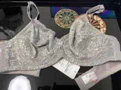 新品タグ付き　Dia Sienne グレー フルカップブラ D70 ダイアナ