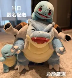 新品　ポケパーク　夏限定　カメックス ゼニガメ ぬいぐるみ 3体セット ポケモン カメックス ゼニガメ3体 ぬいぐるみ ポケパークカントー 夏