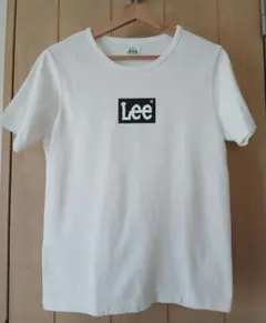 Item thumbnail for item 74bcfdd2-9568-42f7-bf17-48797008d621