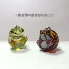 チャリ通。様 リクエスト 2点 まとめ商品