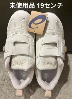 Item thumbnail for item a089cbc8-7d5a-4e8a-9d84-84f389828cde