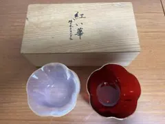 Item thumbnail for item 1fab46e6-f039-48d2-9bf9-dd2f23fd67ee