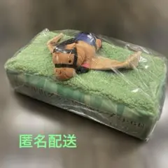 サラブレッドコレクション イロゴトシ ジオラマティッシュケース