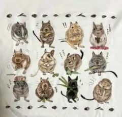 【新品】デグー 長袖Tシャツ レディースM〜L メンズS ロングスリーブ