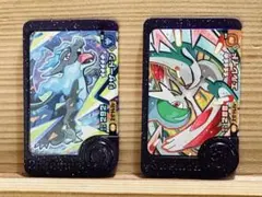 ポケモンフレンダ ベストタッグ3弾（リザードン・エルレイド）