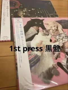 2026年最新】佐藤千亜妃 レコードの人気アイテム - メルカリ