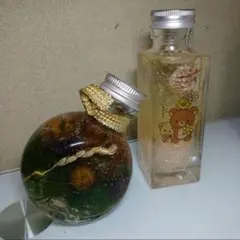 하바리움 리락쿠마 2종 세트