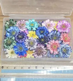 ハンドメイド 花材 ドライフラワー 小花 かすみ草 mixカラー 100輪＋α