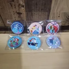 ディズニー　刺繍　缶バッジ　シンデレラ　アリエル　アナと雪の女王　オーロラ姫