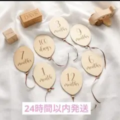 Item thumbnail for item 04a908cd-1928-40b3-bc34-3aa4142c0f2b