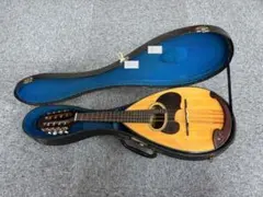 Suzuki Mandolin 日本製 ハードケース付き 2026年最新】suzuki mandolinの人気アイテム - メルカリ