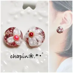 （ 1638 ） カボション 3D ピアス レジン イヤリング