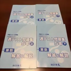 2026年最新】四谷大塚週テスト問題集4年の人気アイテム - メルカリ
