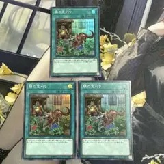 遊戯王 隣の芝刈り スーパー 3枚