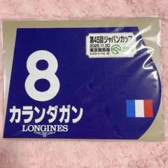 2026年最新】ミニゼッケン 競馬の人気アイテム - メルカリ