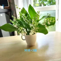 ルル－様専用です。90本。