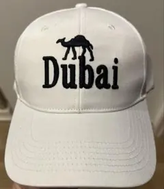 Don't be a baby 6PANEL CAP abyts 佐藤健 新品 - メルカリ