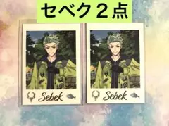 ツイステ展・セベク２点・ランダムカード
