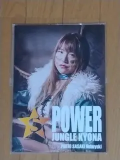 スターダム 格闘技