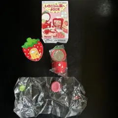 いちごちゃん家へようこそ　4イチゴドレッサー